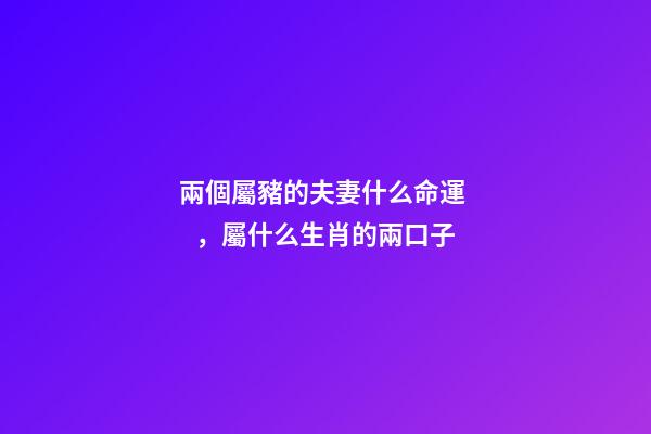 兩個屬豬的夫妻什么命運，屬什么生肖的兩口子